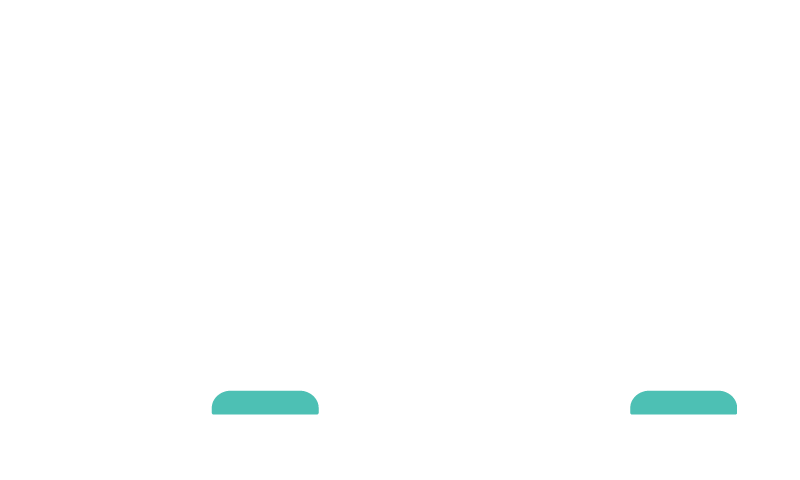 Torso